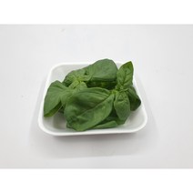 [특급] 싱싱한 생 바질 100g 500g 1kg 생 바실, 바실500g