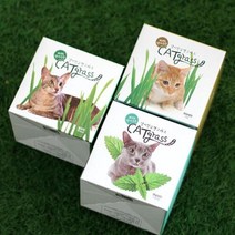 [꿈쟁이]꿈쟁이 원형 저면관수화분 고양이 헤어볼 캣그라스 키우기 캣잎