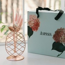 아나나스 로제 철제라인 디퓨저(향10종)-실루엣화병 실린더화병 로즈골드 와이어화병, 블랙 체리