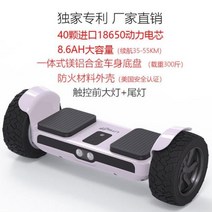 외발 전동휠 관부가세포함 킹송 세그웨이 성인과 를위한 스포츠 호버 보드 셀프 밸런싱 스쿠터 밸런스, 16 17, 한개옵션1
