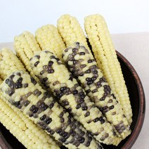 친환경팔도 [생산자직송] 무주 대학 미백 얼룩이 찰옥수수, 미백 21개(7팩)