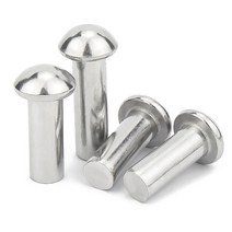 라운드 솔리드 리벳 매끄러운 표면 M0.8 M1 M1.2 M1.4 M1.6 M2 M2.5 크기 녹아웃 리벳 방청 패스너 304 스테인레스 스틸 100pcs, 20mm