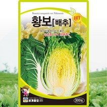 황보배추 씨앗 쌈배추 씨 종자 300립, 단품