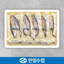 제주 한림수협 제주 진공 굴비 20미 1.4kg(700g*2팩) / 굴비 1.4kg(700g*2팩/팩당10미)
