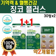 제약회사 기억력 개선 코오롱 징코 플러스 1개 30정 약 1개월 비타B 비타민 B군 비타민비 에너지 영양제 은행잎 추출물 직장인 부모님 선물 아연 면역 징크 리얼 GINKGO 혈행, 2개(2개월분)