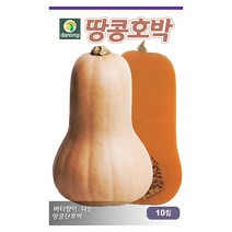 땅콩 호박 씨앗 10립 - 단호박 호박씨 호박씨앗 채소 야채 재배 주말 농장 텃밭, 05_다농_땅콩호박(10립)