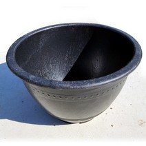 이삭 수련분특1호- 수생식물기르기 수련분갈이 연꽃기르기