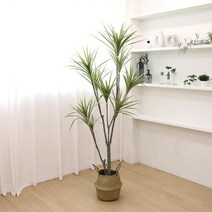 고급 인조나무 조화화분 드라세나 마지나타 180cm, 없음