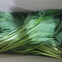 강원도 홍천 생 줄기 대 명이나물 1kg 2kg 울릉도종 산마늘 명의나물, 대명이2kg