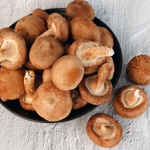 자연애 자연애 생표고버섯 중 650g, 단일옵션