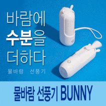 물바람 선풍기 바니 (Portable Mini Fan Bunny), 민트