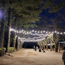 파티라이트 스트링라이트 전등선 야외조명 경관조명 루프탑 캠핑 까페 펜션용 감성조명 무드조명 11M 10구, 파티라이트 11M10구, BLACK