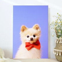 강아지 고양이 애완동물 반려동물 반려견 사진 방꾸미기 인테리어 캔버스 액자, 09리본포메라니안