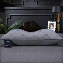 조선호텔베개 마이크로화이바 더블 G 절묘한 자수 바운스 백 베개 숏 부드러운 편안한 침실 침대 수면 5 성급 호텔 홈 성인, a02+Low pillow