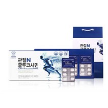 무릎관절 연골관리 복합식품 무릎에 좋은 관절에좋은 70대영양제 무릎통증 허리에 좋은 영양제 손가락관절 고관절 약2개월분, 600mg x 240정