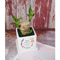 [상견례/상견례답례선물] 상견례화분(선물용쇼핑백포함) Ver.3 - 기본형2종세트, 2. 저희 예쁘게 잘 살겠습니다!