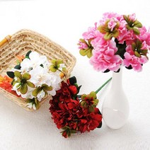 [행복한세상]5대철쭉부쉬, 5대철쭉부쉬(화이트)