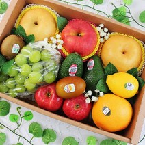 프리미엄 설날 과일선물세트/10+1 샤인머스켓 사과 배 고급혼합과일 명절선물세트 1호, 샤인 혼합과일선물세트1