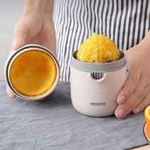 레몬스퀴즈 생과일착즙기