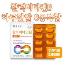 활력 비타민B 60정 2개월분 수용성비타민 비오틴 판토텐산 나이아신 엽산 활력비타민B