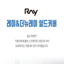 이투피 레이&더뉴레이 전용 스크레치방지 쉴드커버, 1열 조수석후면 하단, 기아