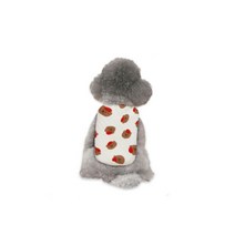 강아지 명품옷 애니멀 아이보리 곰 XL사이즈 강아지조끼 강아지옷브랜드 마켓무디 애견의류 커플룩 스배