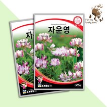 자운영 500립 세계종묘 화훼류 씨앗 야생화