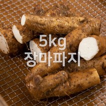 태산농장 마 안동마 장마 산마 파지, 1개, 5kg (장마 파지)