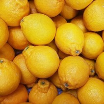 제주 꼬마 한라봉 한정판 햇한라봉 소과 사이즈 가정용 한라봉 5kg 10kg