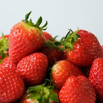 [산지직송] 지리산 산청 딸기 생딸기 설향딸기 킹스베리 제철 과일 1kg, <a.5> 설향 딸기 750g (30구)” class=”wr-img”></a></div></div></div></div><div class=