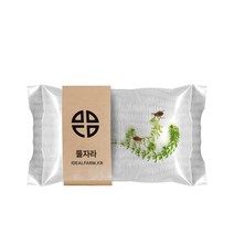 물자라 관찰 자연과학 초등교과 수서곤충, 단품