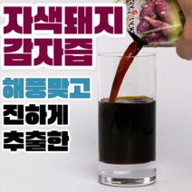 팜티비 진하게 추출한 자색 돼지감자즙 엑기스 진액, 120개