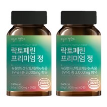 오늘의밸런스 락토페린 3000mg 초유 유산균, 60정, 2개