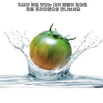 산지직송]부산 대저 짭짤이 토마토 못난이 짭짜리 토마토2.5kg, 할인] 대저 토마토 정품 못난이 2.5kg, 1개