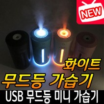 무드등 USB 차량용 미니가습기 사무실 휴대용 가습기 개인용 필터형 무드등가습기 차량용가습기 추천 후기, 힐링타임 화이트