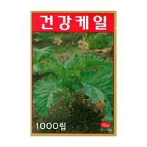 제일 건강케일 씨앗 (녹즙용) 1000립
