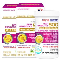 듀폰 다니스코 베스트 프로바이오틱스500 60캡슐X2병/생유산균 식물성캡슐, 2개