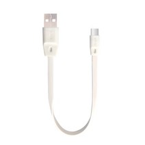 USB 3.1 C타입 보조배터리 20cm 숏 케이블