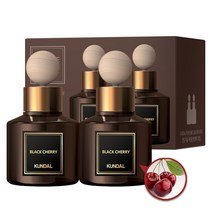쿤달 퍼퓸 디퓨저 200ml 4종 택1, 블랙체리 (차량용 2개입)