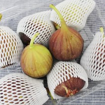 신비의과일 고당도 햇살팜영농조합 무화과, 01. 영암무화과 500g*2팩 1kg