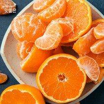 맛좋은 제주 감귤, 노지감귤 로얄과 5kg