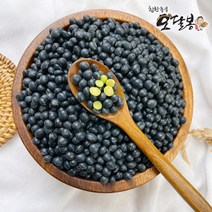 특품 2022년 햇 국산 콩나물콩 선별약콩 쥐눈이콩 약콩 콩나물콩키우기, 1개, 5kg