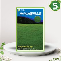켄터키31톨페스큐 잔디씨앗 20g 사방공사에 최적 잔디, 단품