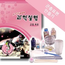곤충표본만들기(5인용세트)