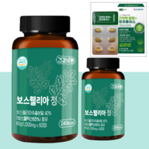 인도산 보스웰리아 + 징코 플러스, 보스웰리아 1개(2개월분)