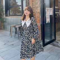 빅 사이즈 여성 원피스 김민경 쇼핑몰 통통녀 뚱뚱한 가족사진의상 코디 하객룩 봄 88 77 미시룩 하비 5394608297