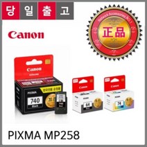 캐논코리아 엑스전산 캐논 정품INK PG-810 PIXMA MP258 검정9ml, 1