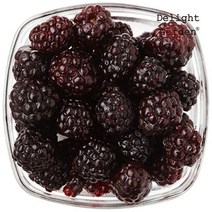 [딜라잇가든] 냉동 블랙베리(복분자) 1kg, 단품