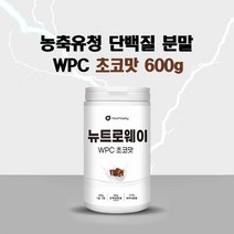 유청단백질 분말 WPC 농축 유청 프로틴 파우더 쉐이크 필수 아미노산 류신 분말 가루 헬스 보충제 미국산 포대유청 농축유청 단백질 추천 초코맛 딸기맛 식사대용 여성 남성, 15일분 1통 스푼동봉(초코맛), 1개