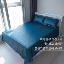 체내 열을 방출하고 냉감을 유치시켜 더욱 시원하고 쾌적하게 아이스 쿨매트 (배게커버2개증정), 피콕블루